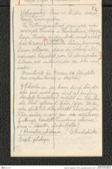 Seite 38, Tagebuch "1919 | Lang-Mannersdorf | Heft 1" (NHMW-PRAE-BBB-09)